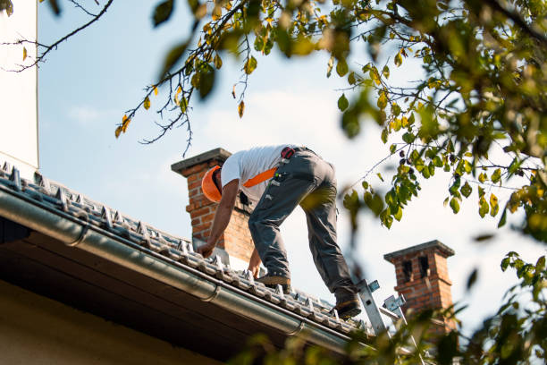 Best Commercial Roofing Services  in Nevada, IA